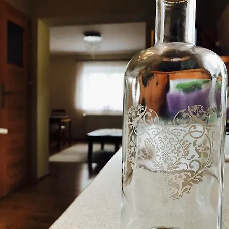 Ginger Kudowa-Zdrój