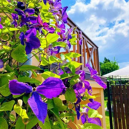 Ginger Lejlighed Kudowa-Zdrój