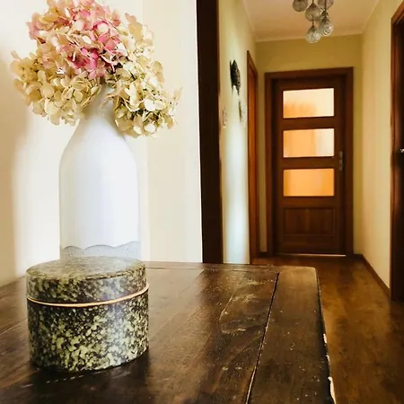 Ginger Kudowa-Zdrój