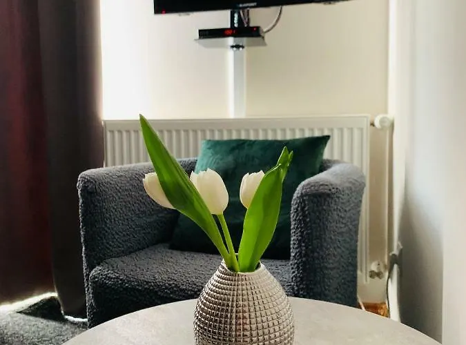 Ginger * Kudowa-Zdrój