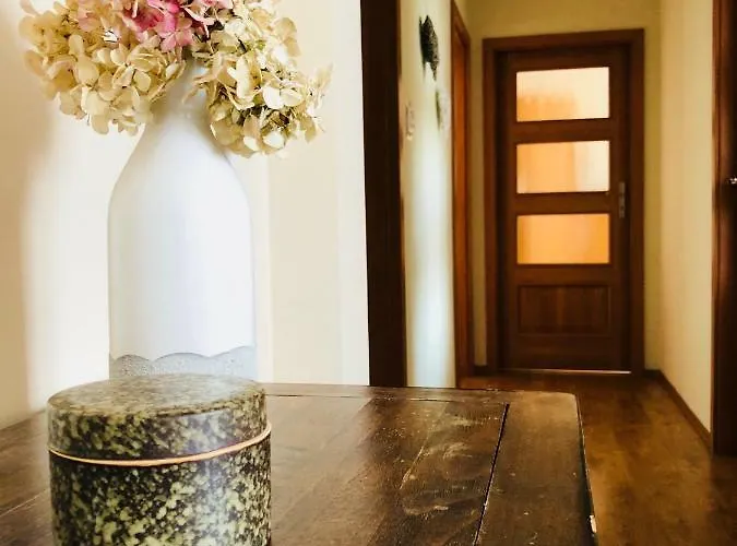 Ginger Kudowa-Zdrój